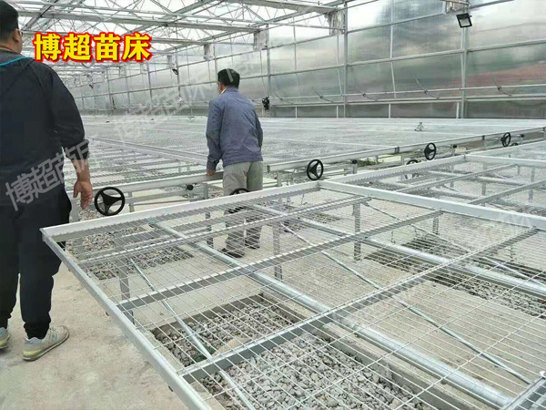 2.jpg 2.jpg